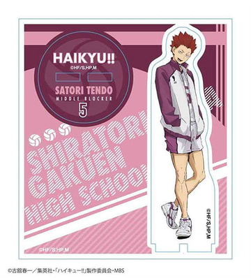 Haikyuu Acrylic Stand Figure, Haikyuu Anime Acrylic Stand