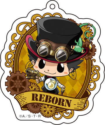 Katekyo Hitman REBORN!  Hitman reborn, Reborn katekyo hitman, Anime