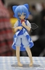 photo of Cirno