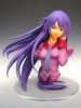 photo of Hitagi Senjougahara Bust Ver.