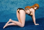 photo of Sonken Chuubou Swimsuit 2 Gold Ver.