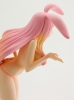 photo of Melona Swimsuit Ver.