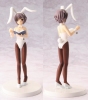 photo of Solid Works Collection DX: Yuki Nagato white bunny ver.