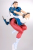 photo of Kinu Nishimura Collection GIRL-FIGHTING Chun-Li