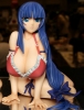 photo of Futo Shizune Revised Edition Bikini Ver.