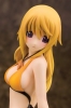 photo of Charlotte Dunois Swimsuit Ver.