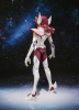 photo of S.H.Figuarts Pegasus Kouga