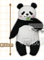 main photo of Panda