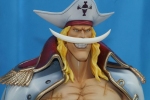 photo of Portrait of Pirates EX Edward Newgate Ver. 0