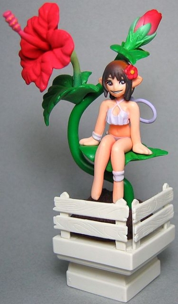 main photo of TV Champion Flower Girl: Hibiscus