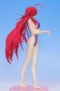 photo of Rias Gremory Swimsuit Ver.