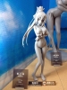 photo of Shinonono Houki Swimsuit Ver.