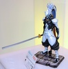 photo of D-Arts Hakumen