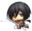 photo of Mikasa Ackerman