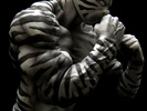 photo of CCP Muscular Collection Vol.19: Kinnikuman Zebra Original Color ver.