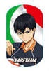 photo of Haikyuu!! Chara Metal Tag: Tobio Kageyama