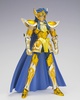 photo of Saint Cloth Myth EX Aquarius Camus