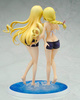 photo of Cecilia Alcott & Charlotte Dunois Swimsuit ver.