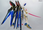 photo of MG ZGMF-X20A Strike Freedom Gundam Clear Color Ver.