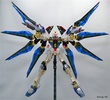 photo of MG ZGMF-X20A Strike Freedom Gundam Clear Color Ver.