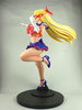 photo of Sailor V