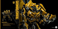 photo of Bumblebee