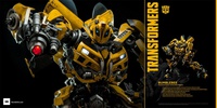 photo of Bumblebee