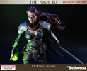 photo of The Heroes of Tamriel The High Elf Exclusive Edition