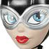 Vinyl Vixen DC Comics: Catwoman