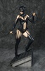 photo of Fantasy Figure Gallery ~DC Comics Collection~ Catwoman