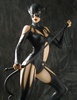 photo of Fantasy Figure Gallery ~DC Comics Collection~ Catwoman