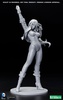 photo of DC COMICS Bishoujo Statue Black Canary