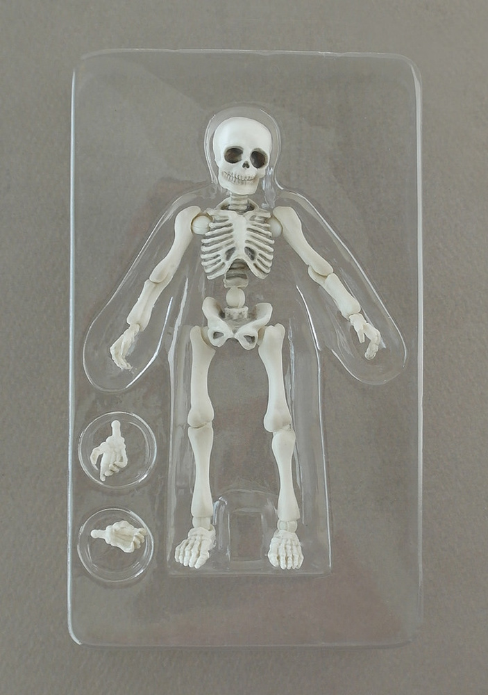 Pose Skeleton Human 01 - My Anime Shelf