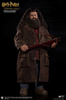 photo of My Favorite Movie Series Rubeus Hagrid Deluxe Ver. 