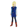 photo of Dimension of DRAGONBALL Ju-hachi Gou (Android 18)