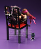 photo of ANTIHERO Chu-kana Cat & Chair