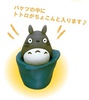 photo of Totoro Large Piggy Bank Winter Limited Edition