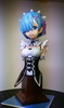 photo of Rem Bust