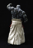 photo of CCP Muscular Collection Big Gusa Budo (Limited Color) Cross Bomber ver.