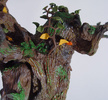 photo of Treebeard