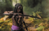 photo of The Walking Dead 10 Inch TV Series Deluxe: Michonne