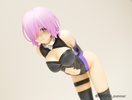 photo of Shielder