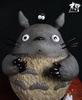 photo of Totoro