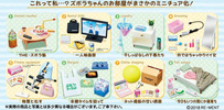 photo of Petite Sample Circumstance of Zubora-chan's Room: Online shopping