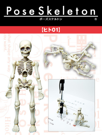main photo of Pose Skeleton Human 01