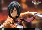 photo of Color Tops Green Wave #18 Mikasa Ackerman