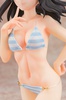 photo of Himeragi Yukina Cloth Swimsuit Ver.