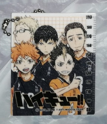 main photo of Haikyuu Ruler: Hinata Shouyou, Tsukishima Kei, Kageyama Tobio, Nishinoya Yuu, Azumane Asahi