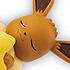 Pokemon Eevee & Friends Dreaming Case2: Eievui