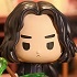 Harry Potter Magical Object Series: Severus Snape